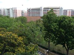 Tampines Court (Enbloc) (D18), Condominium #115519772